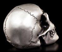 Alchemy Skull - Metalised Alchemist