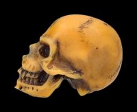 Skull mini - Lapillus Worry Skull