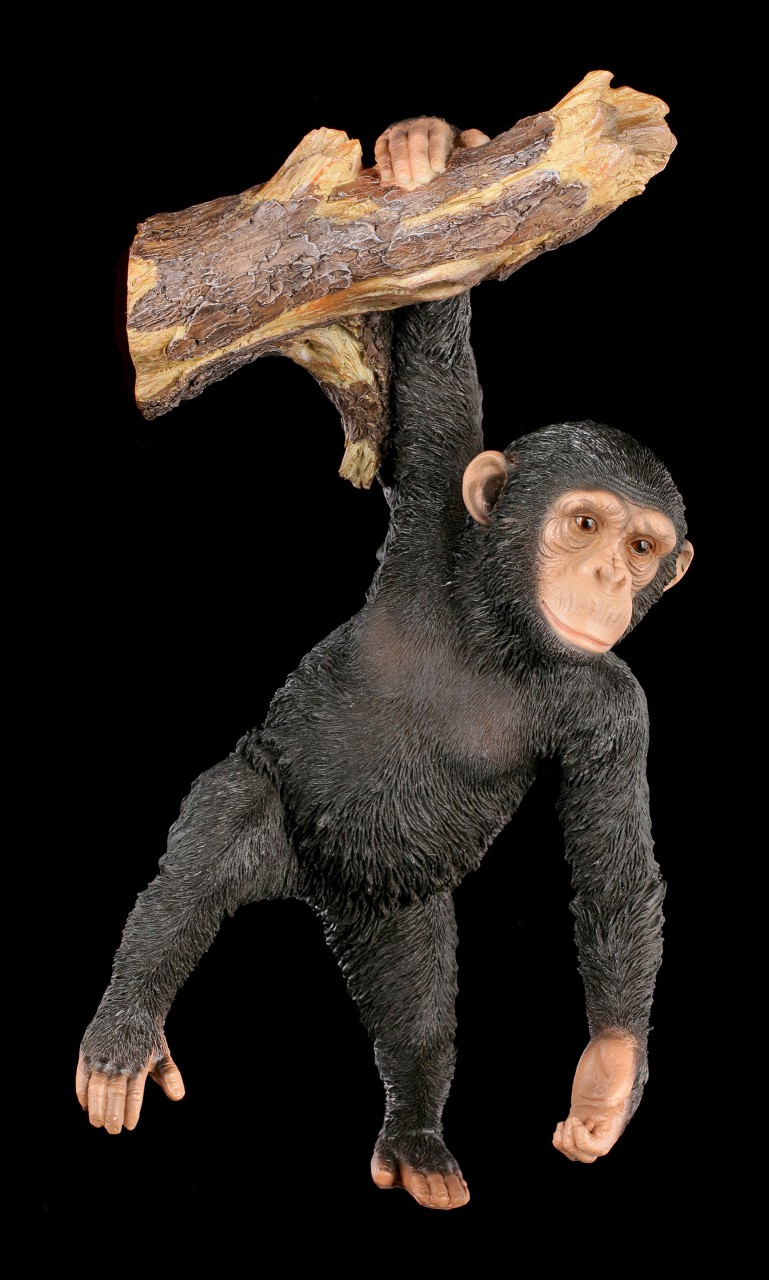 Garden Figurine - Chimpanzee hanging on Branch