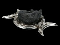 Alchemy The Vault - Cat Figurine - Witches Familiar