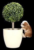 Bulldogge Welpen Figur als Blumentopf-Hänger