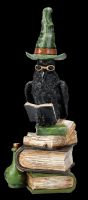 Raven Figurine - Witchcraft Raven