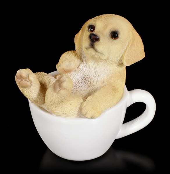 Dog in Cup mini - Golden Retriever Puppy