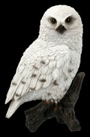 White Snow Owl Figurine on Limb