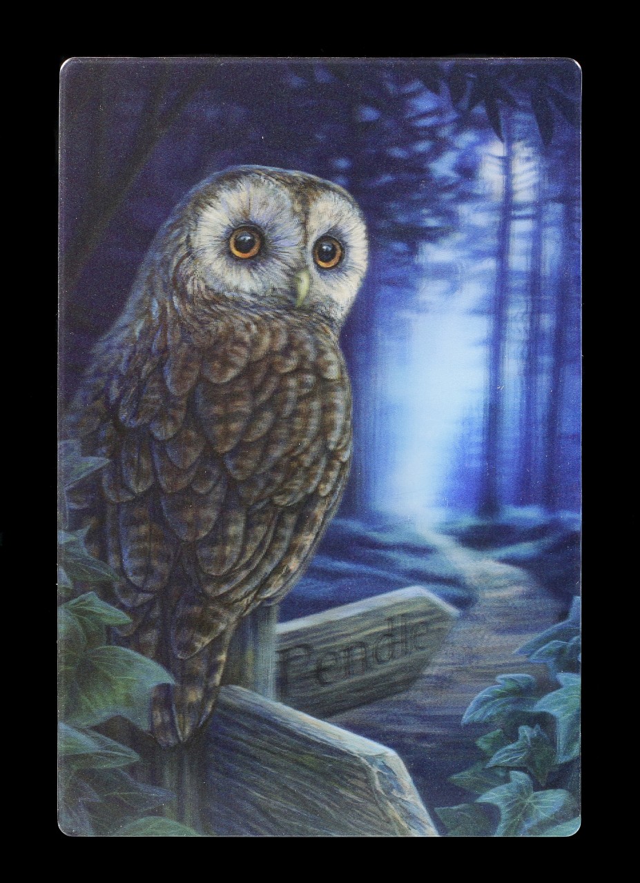 3D Postcard with Owl - Way of the Witch