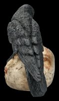 Raven Figurine eats rotting Skull