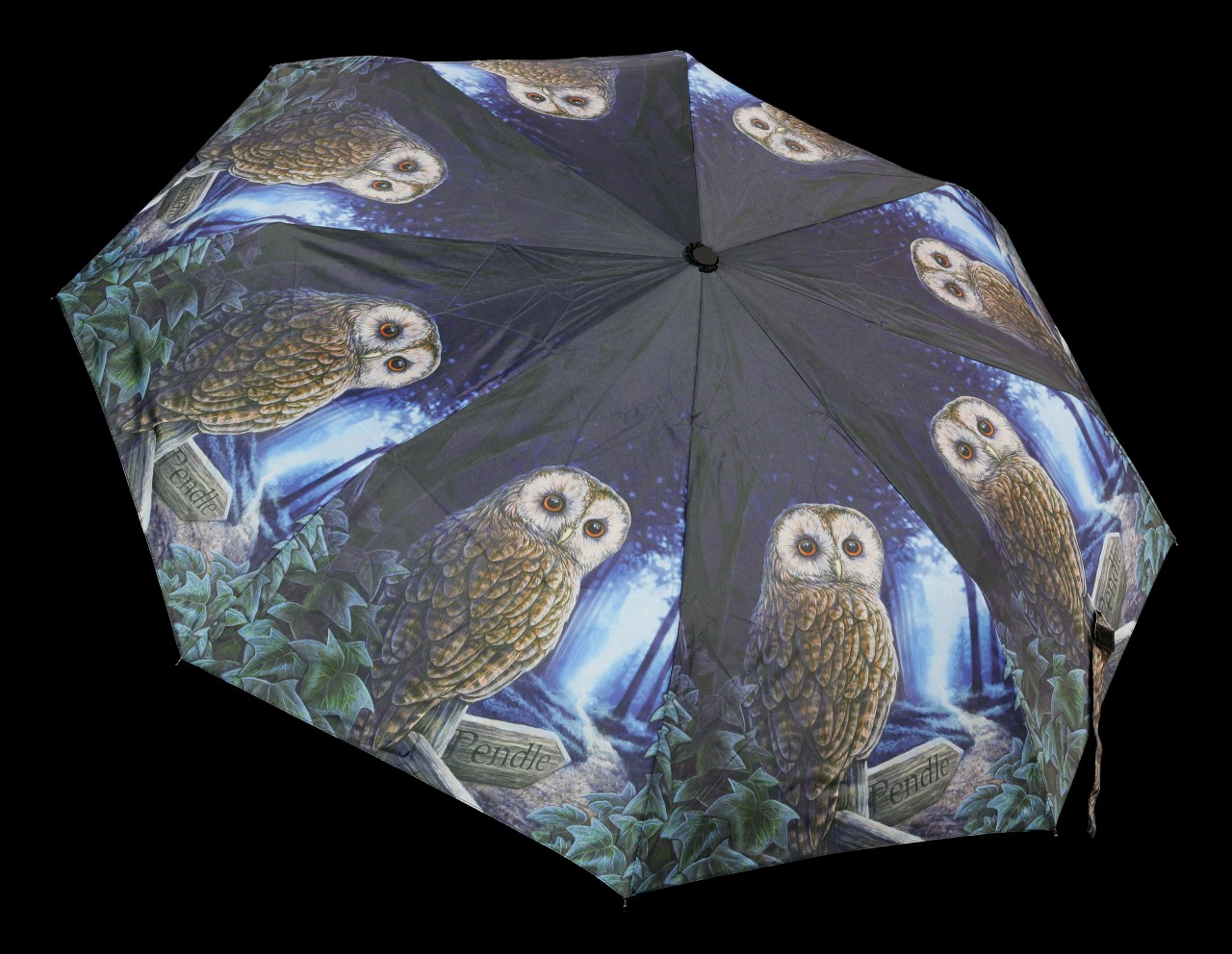 Umbrella with Owl - Way of the Witch