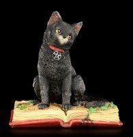 Witches Cat Figurine - Eclipse