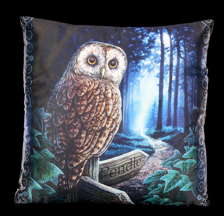 Large Cushion with Owl - Way of the Witch