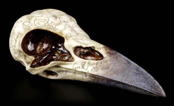Edgar's Raven Skull - Nevermore