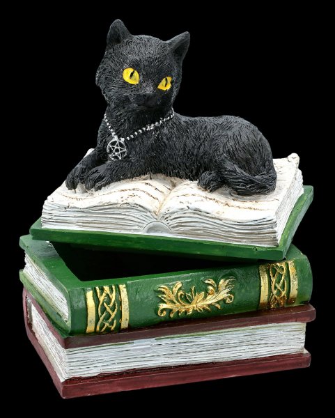 Schatulle - Katze auf grünen Büchern