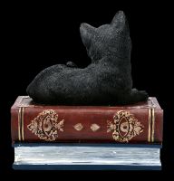 Schatulle - Katzen Figur auf magischen Büchern