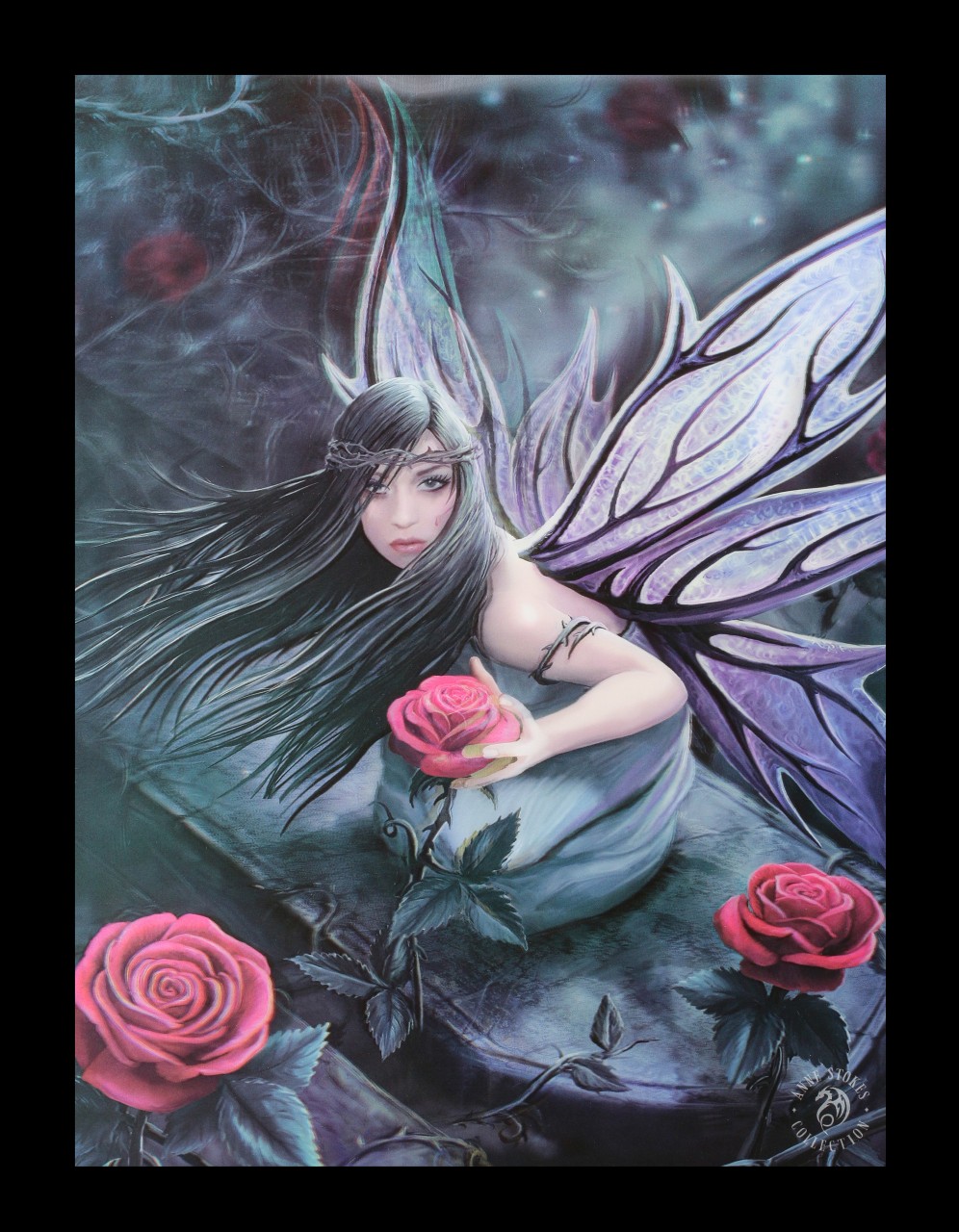 3D Picture - Rose Fairy