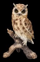 Owl Figurine Sitting on Branch