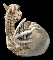 Skeleton Dragon Figurine Hatches