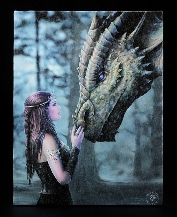 Small Canvas - Once Upon A Time by Anne Stokes
