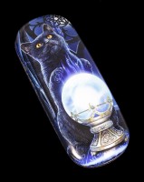 Glasses Case with Cat - The Witches Apprentice