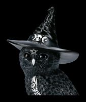 Owl Figurine - Witch Owlocen