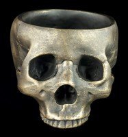 Skull Bowl