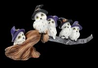 Funny Owls Playing on Witches' Broomstick