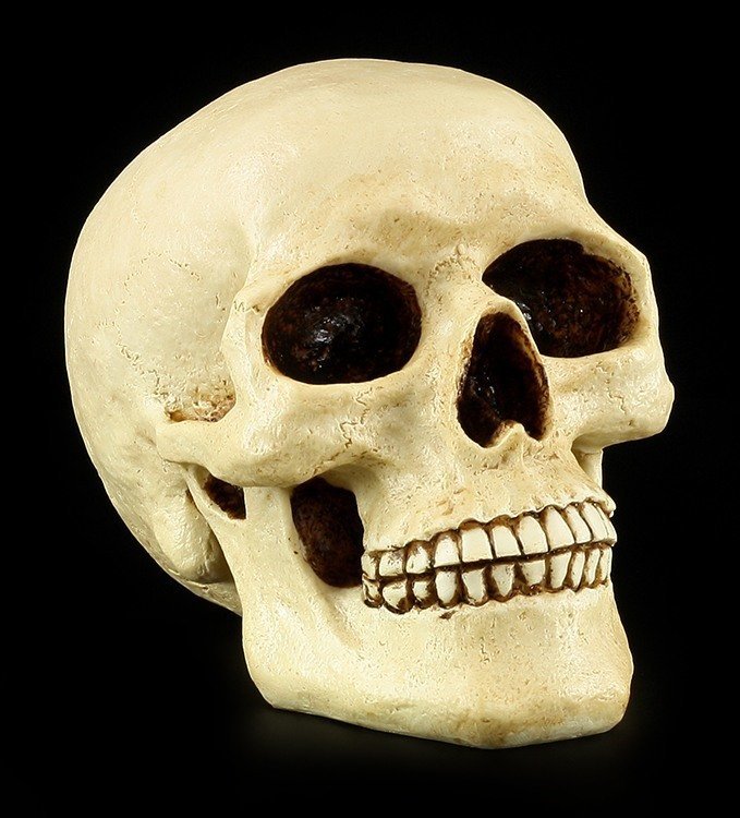 Totenkopf Schädel Skull Spardose Dekoration fluoreszierend 
