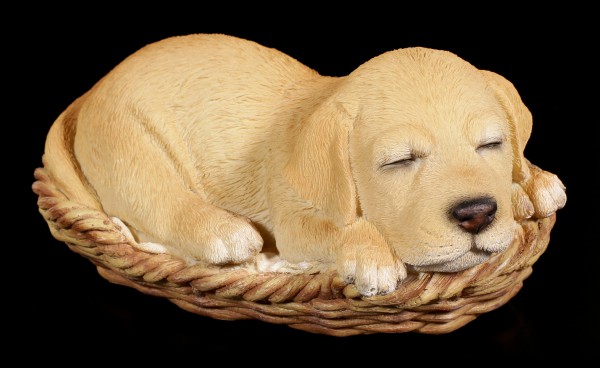 Hund in Körbchen Figur - Labrador