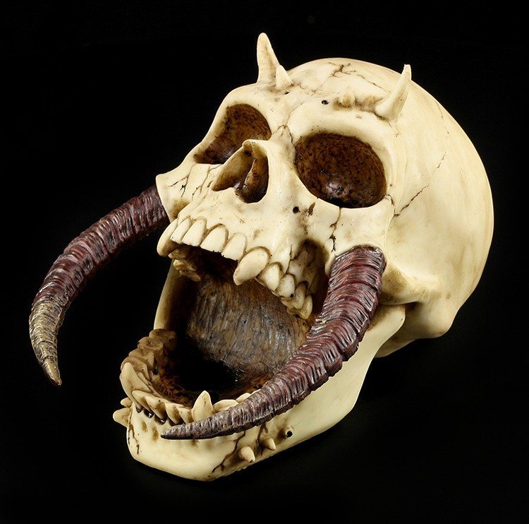 Totenkopf - Hornschädel Cranium