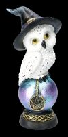 Snowy Owl Figurine Set - Wizards