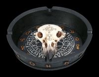 Ashtray Raven Skull - Mystic Arts