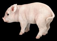Pig Figurine - Piggy