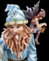 Wonderland Sorcerer with Fairies