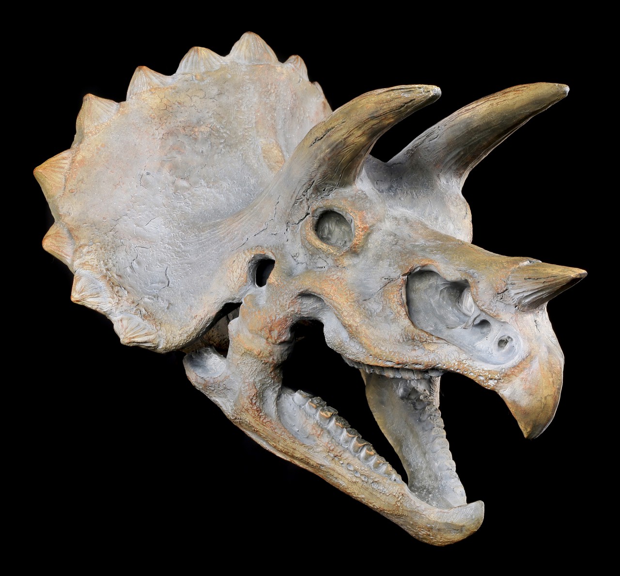 Wandrelief - Dinosaurier Schädel - Triceratops