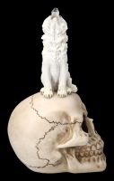 Skull with White Wolf