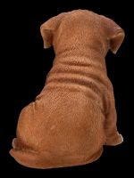 Boxer Hund Welpen Figur