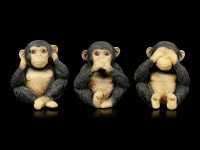 Monkey Figurines Set of 3 - No Evil
