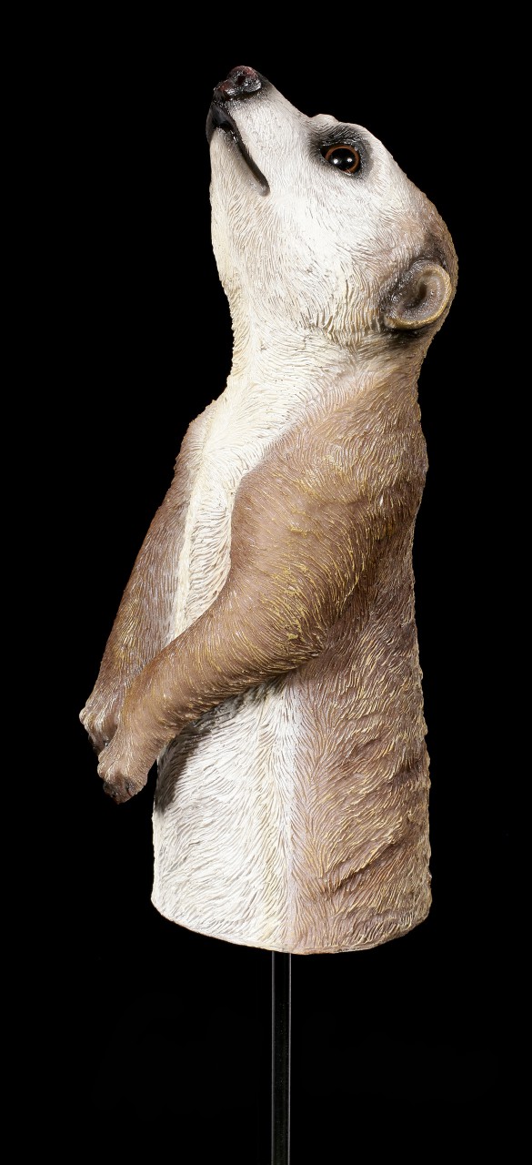 Garden Figurine Plug - Meerkat