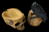 Skull Box with Crow - Salems Familiar