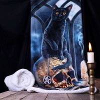 Fluffy Blanket Cat - Spirits of Salem