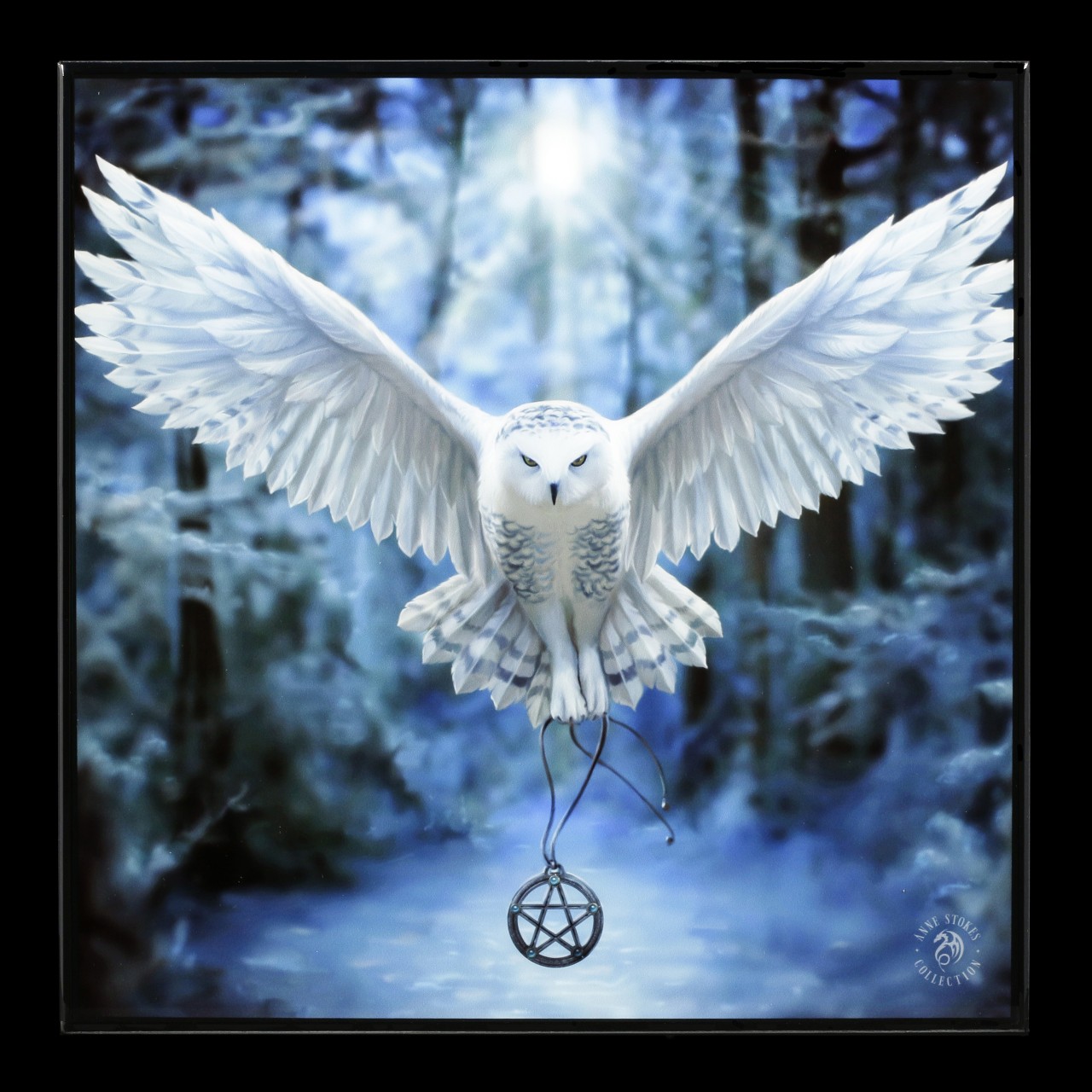 Small Crystal Clear Picture with Owl - Awaken Your Magic