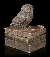 Box - Owl Figurine on old Books
