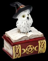 Owl Figurines on Magic Book Box Set of 2