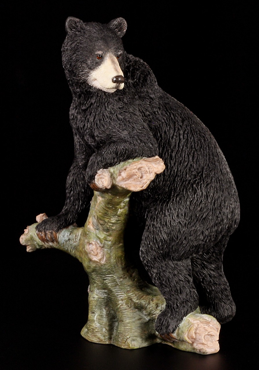 American Black Bear - Figure standing