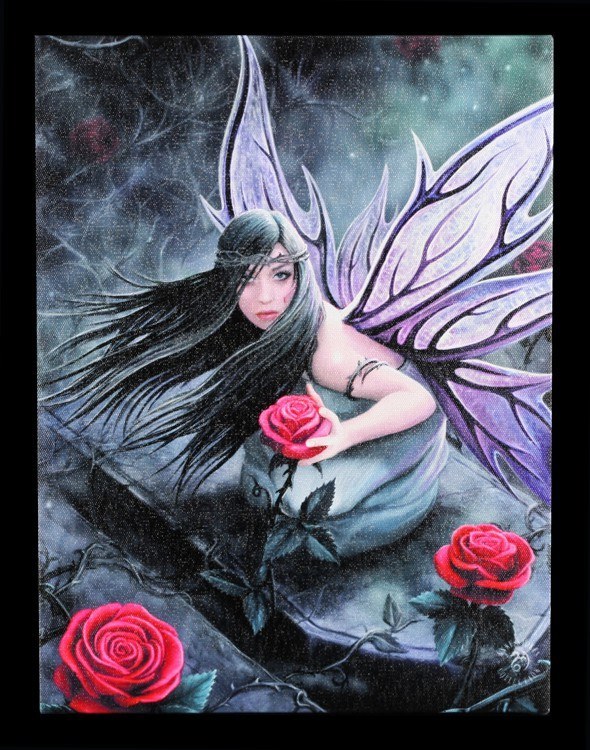 Kleine Leinwand - Rose Fairy by Anne Stokes