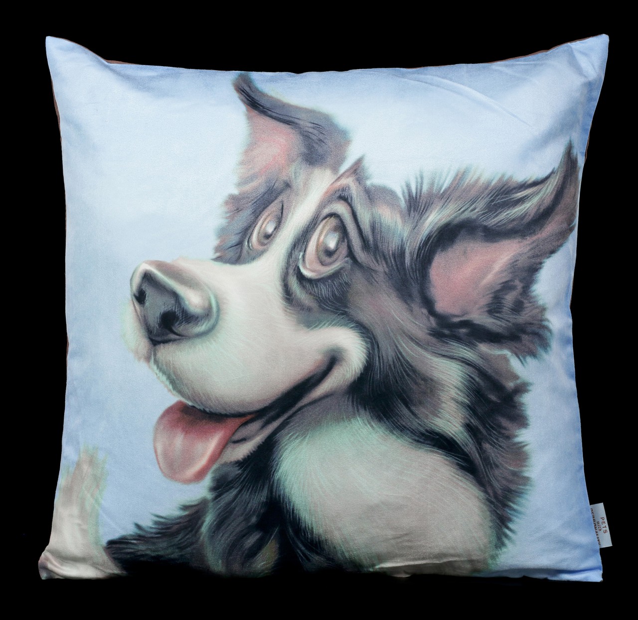 Cushion with Dog - Border Collie
