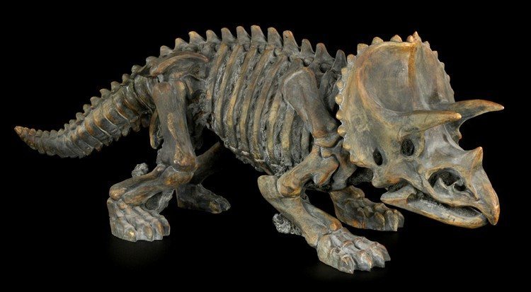 Dinosaur Figurine - Large Triceratops Skeleton