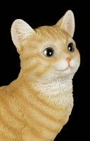 Kantenhocker - Sitzende getigerte Katzen Figur