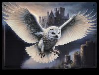 Metal Sign - Owl Messenger Large