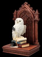 Bookend - Owl of Wisdom hand painted