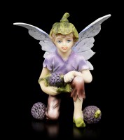 Fairy Figurine - Boy collecting Fruits