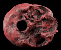 Female Replica Skull - Sagus Carmin Red - Limited Edition